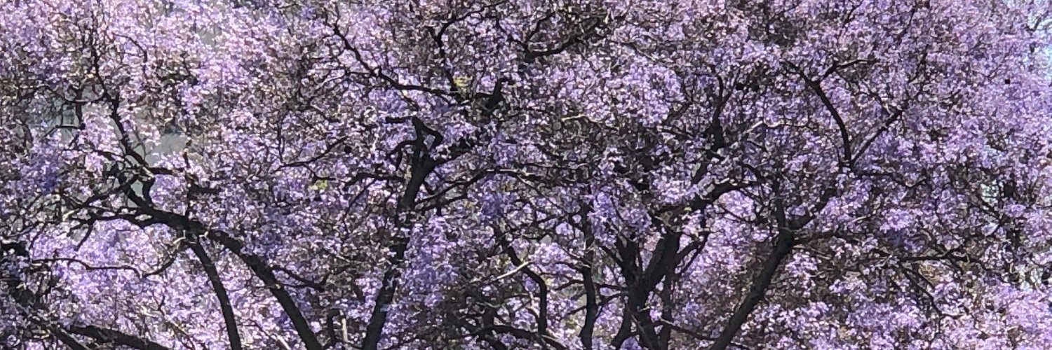 Gail Kristin Upp banner