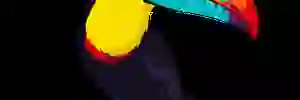 phillisbrown443's profile banner image