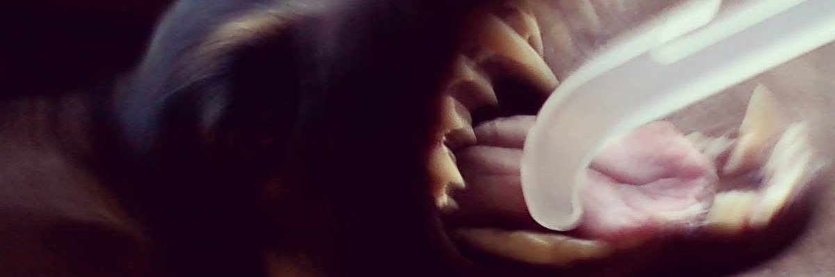 tracilynnbailey's profile banner image