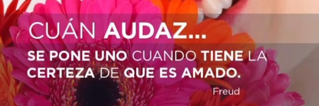 MARCE 💛 banner