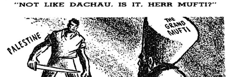 David 🦁📟 🇮🇱 banner