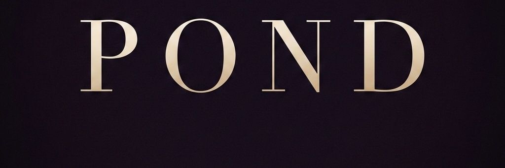 pondpondzing's profile banner image