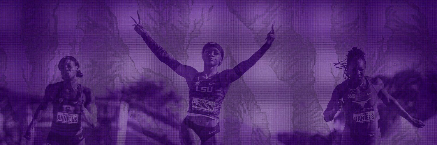LSUTigerLife's profile banner image