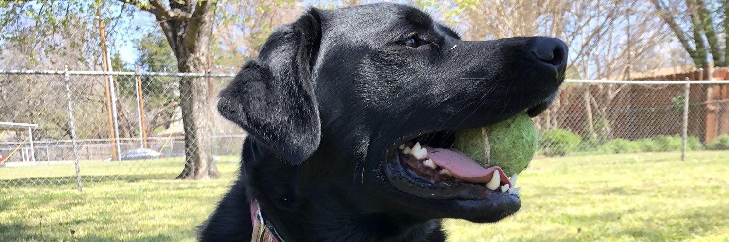 snrekcin's profile banner image