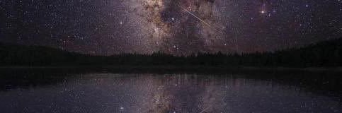 AnthonyBreneman's profile banner image