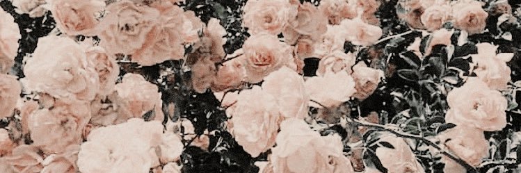 Cheyanderson22's profile banner image