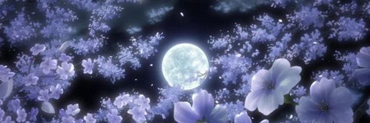 agatuschia's profile banner image