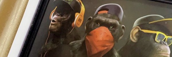 braveguyy Profile Banner