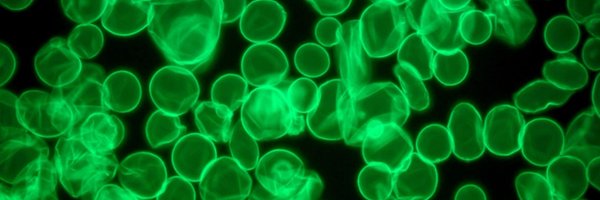 CpegLeeds1 Profile Banner