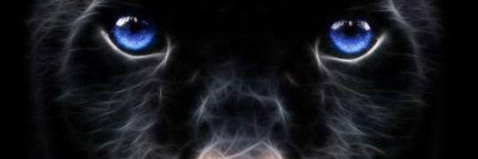 LucaMurillo03's profile banner image