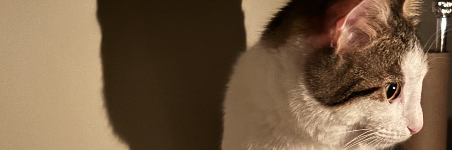 aysecimsalam's profile banner image