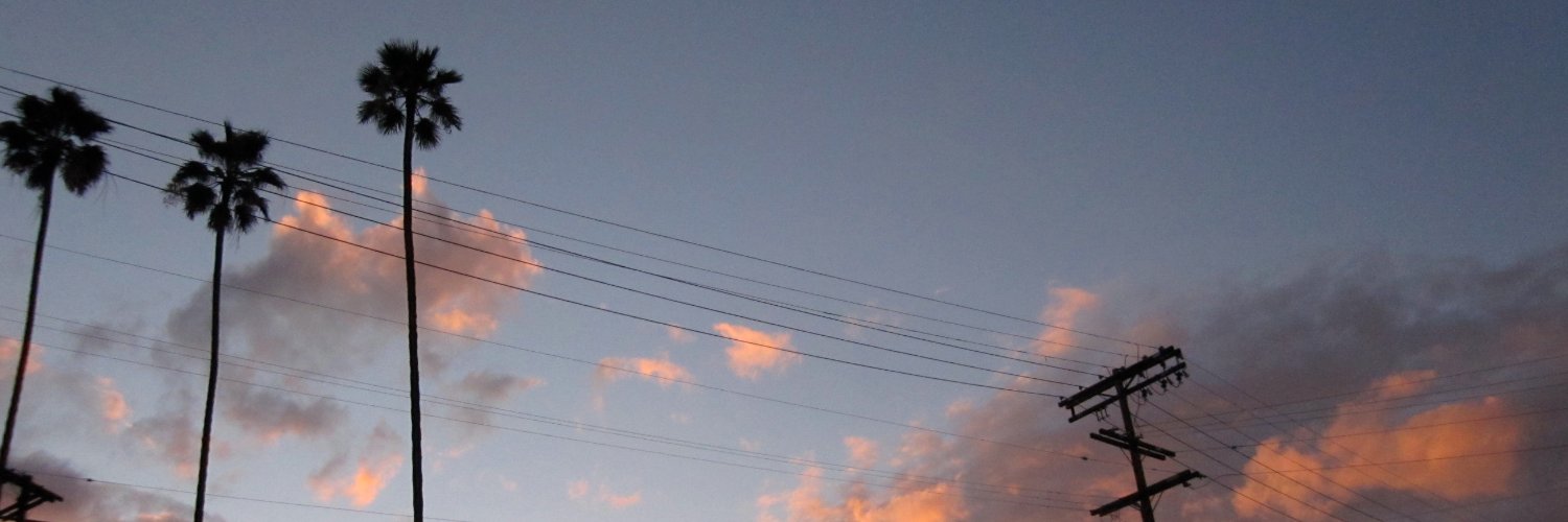 Terry de Castro banner