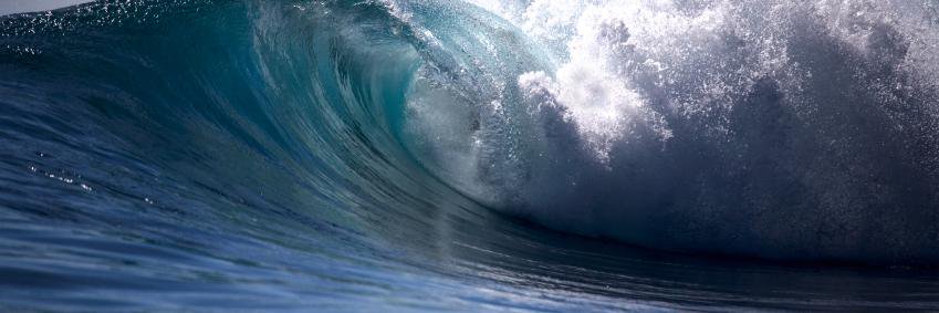 Healthy_Ocean's profile banner image
