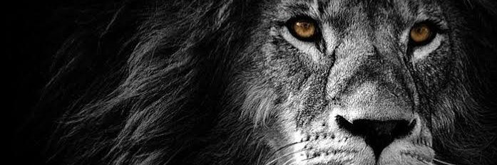 Leogavindra's profile banner image