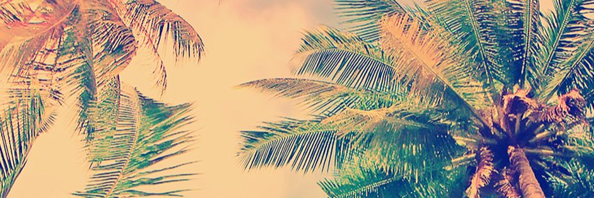 jpaul12l's profile banner image