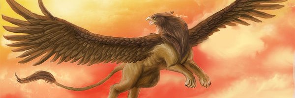 fallongreef's profile banner image