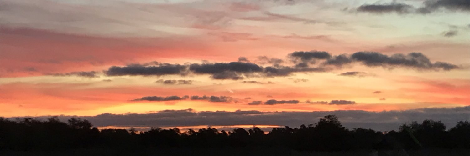 Rita E Jordan banner