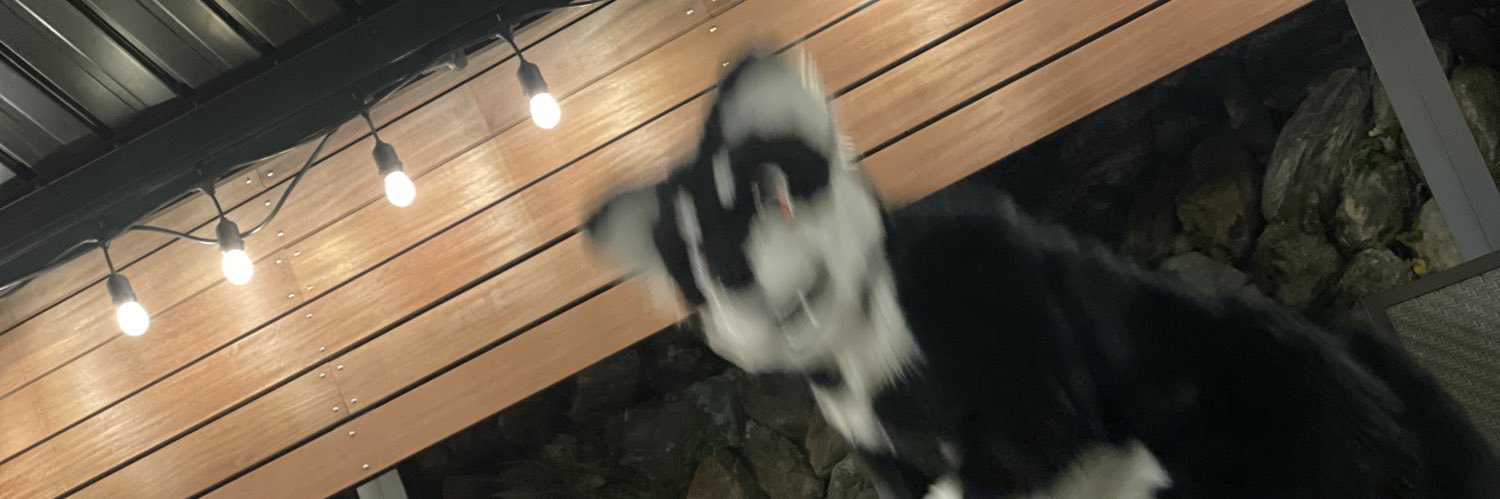itsuku's profile banner image
