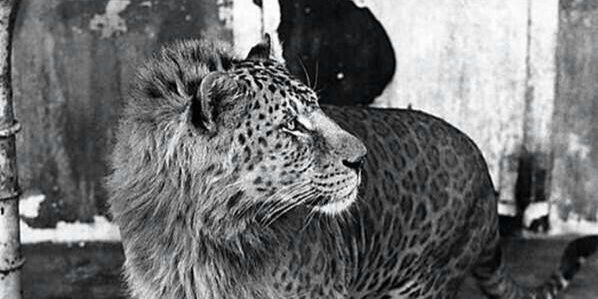 drunkvondee's profile banner image