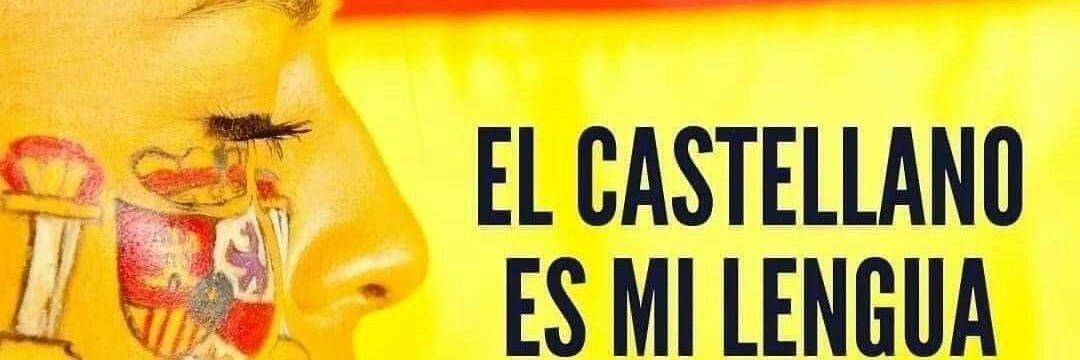 🇪🇸💙LEONESA💙🇪🇸 banner