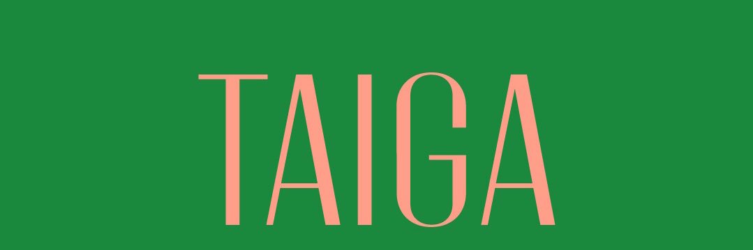 TAIGA banner