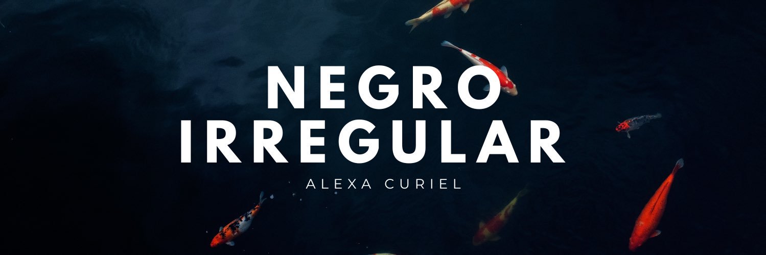 NegroIrregular's profile banner image