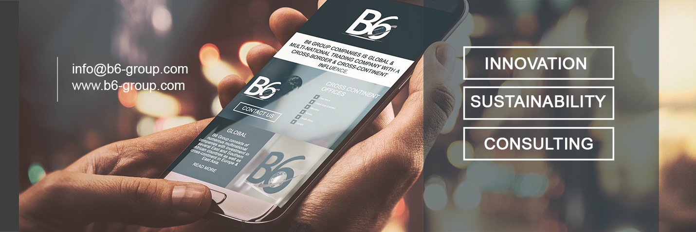 B6 Group banner