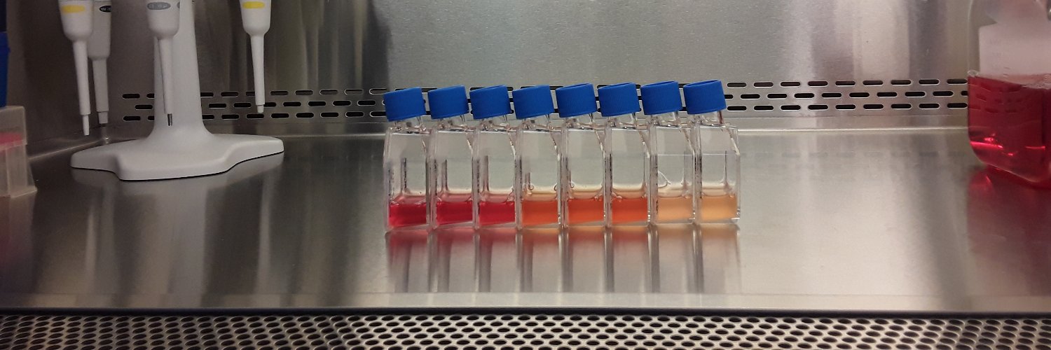 Elizabeth Bonner (ebonner.bsky.social) banner