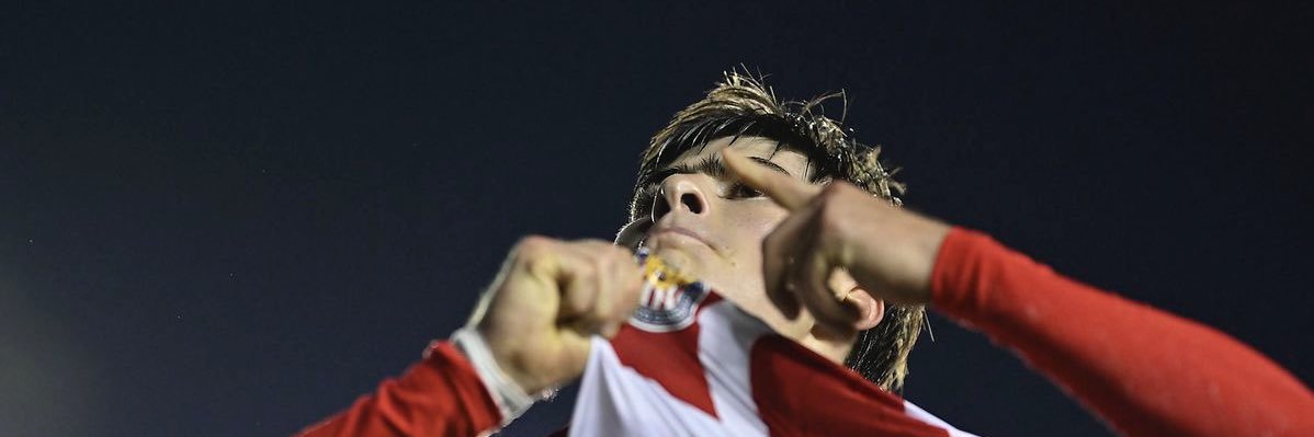 hormiguitos's profile banner image