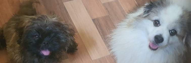 cookaiganda's profile banner image