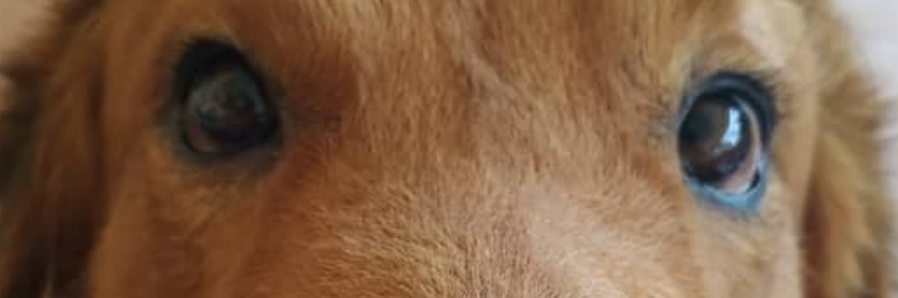 mayeba5's profile banner image