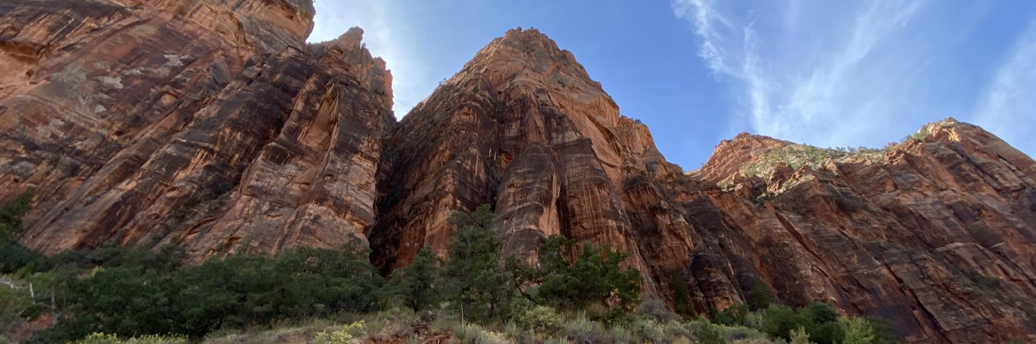 Heloisa Soares MD banner