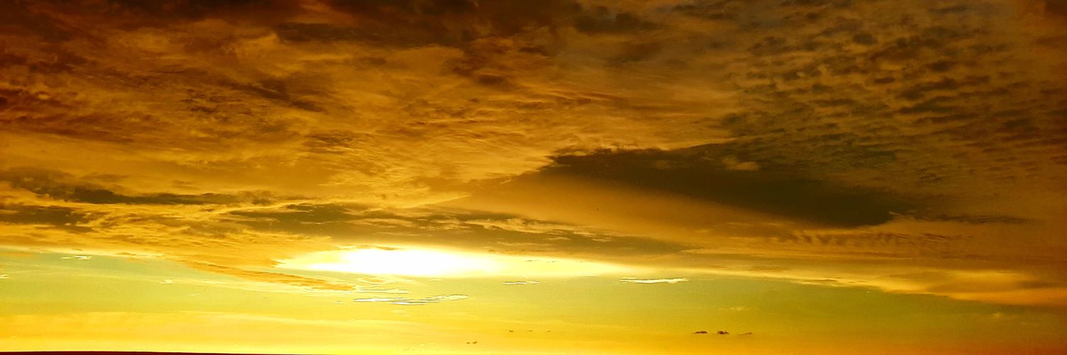 Tamhar_14's profile banner image