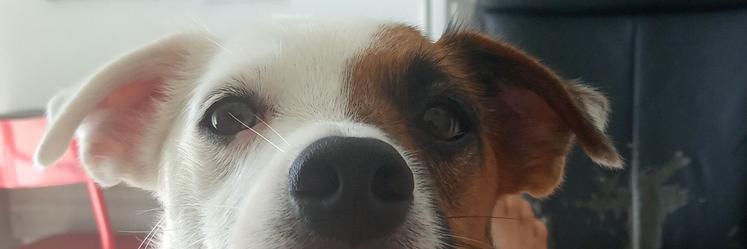 rodrigorls1979's profile banner image