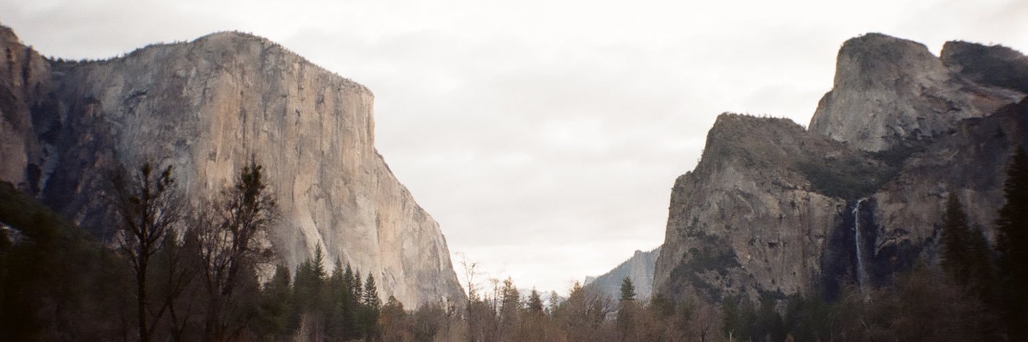 torihadinger's profile banner image
