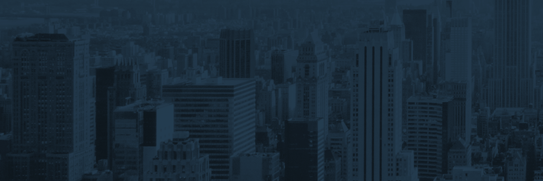 bugwolf's profile banner image