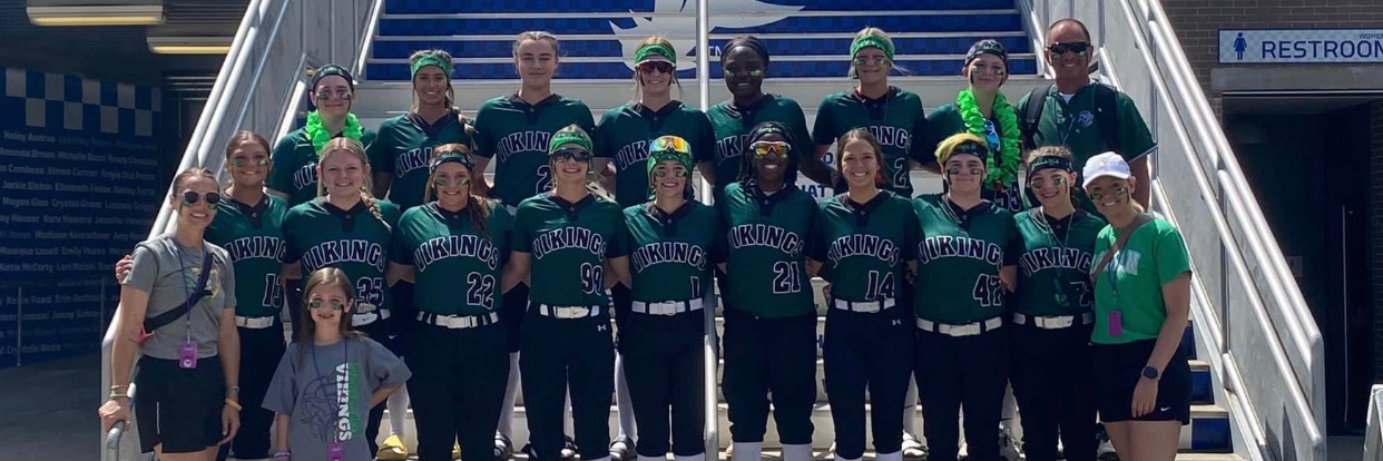 Diamond Wills banner