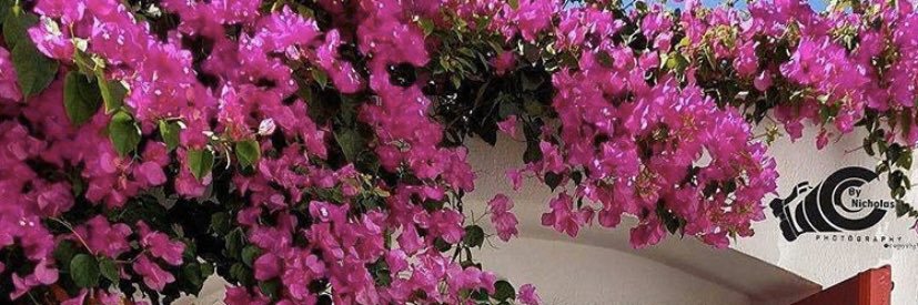 A_Difallah's profile banner image