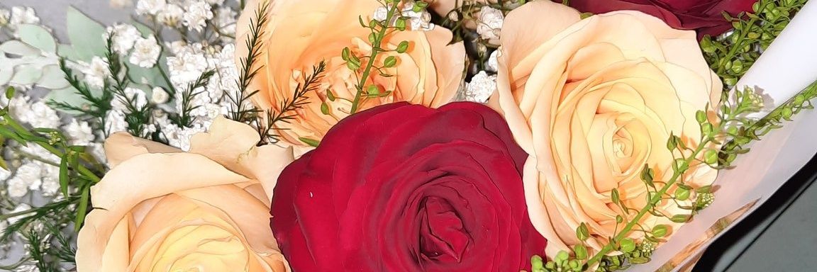 pisschoke🩷💚 banner