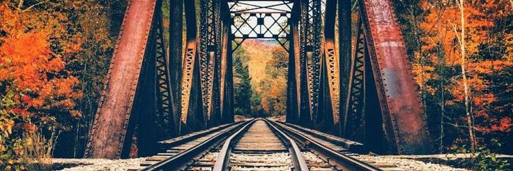 shaker Alsophy banner