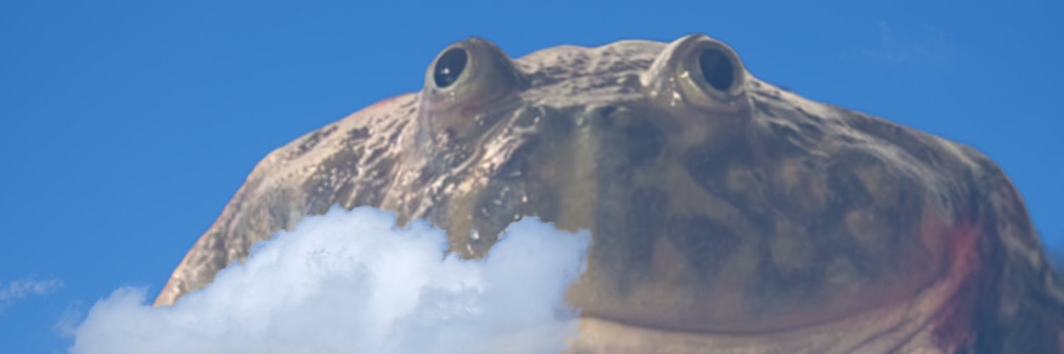 danihausen's profile banner image