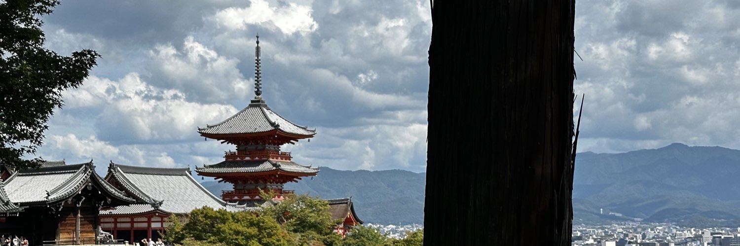 Bagheera ~ skelbraz banner