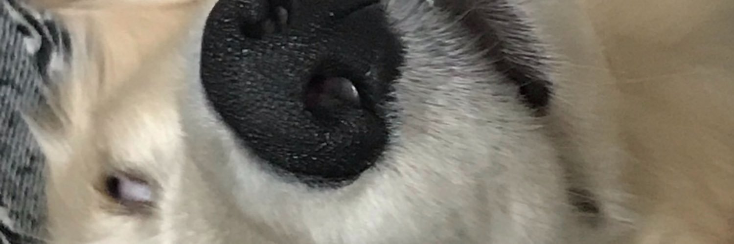 ch1ka029's profile banner image