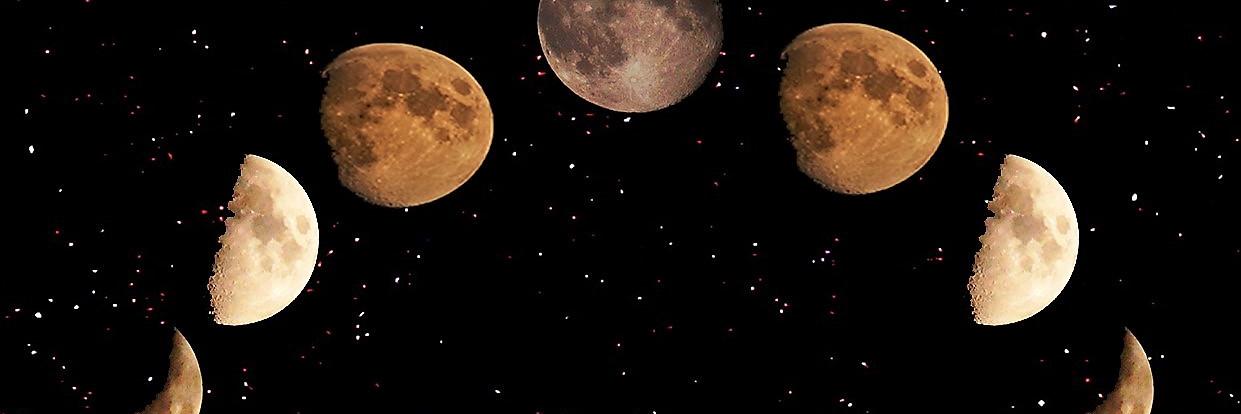 tatta131's profile banner image
