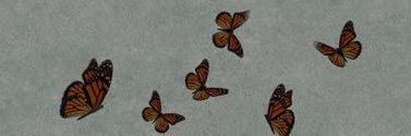 wahaj_205's profile banner image