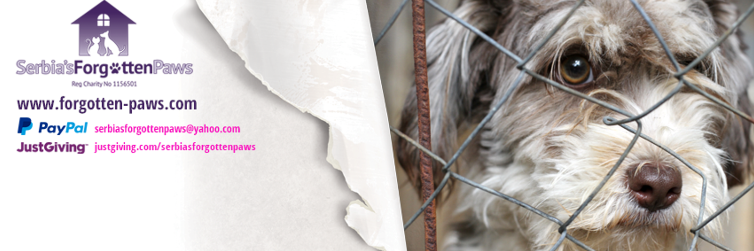 Forgotten Paws banner