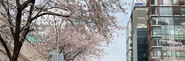 aisha_yisha's profile banner image