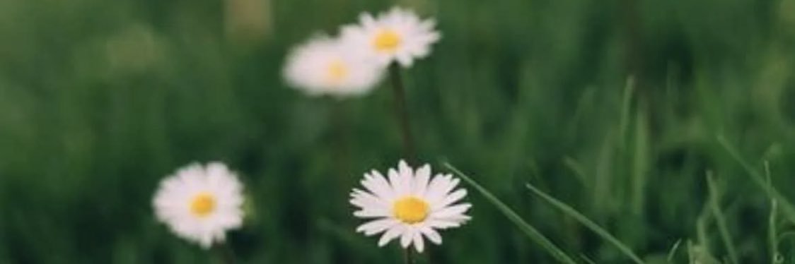 roro6384's profile banner image