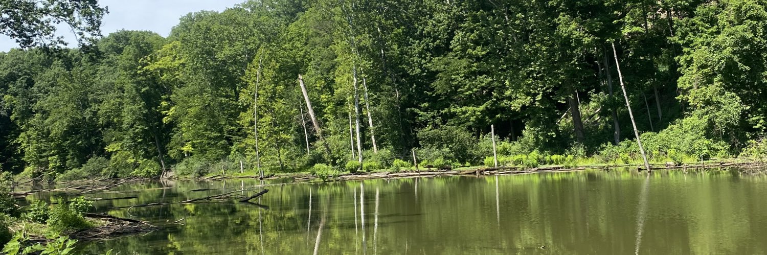 Clevelandpants's profile banner image