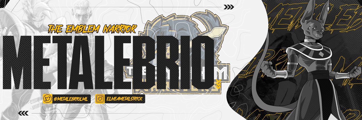 TEW | Metalebrio banner